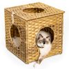 Rattan Cat Litter; Cat Bed with Rattan Ball and Cushion; yellowish brown