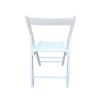 FOLDING CHAIR-2/S;  FOLDABLE STYLE -WHITE